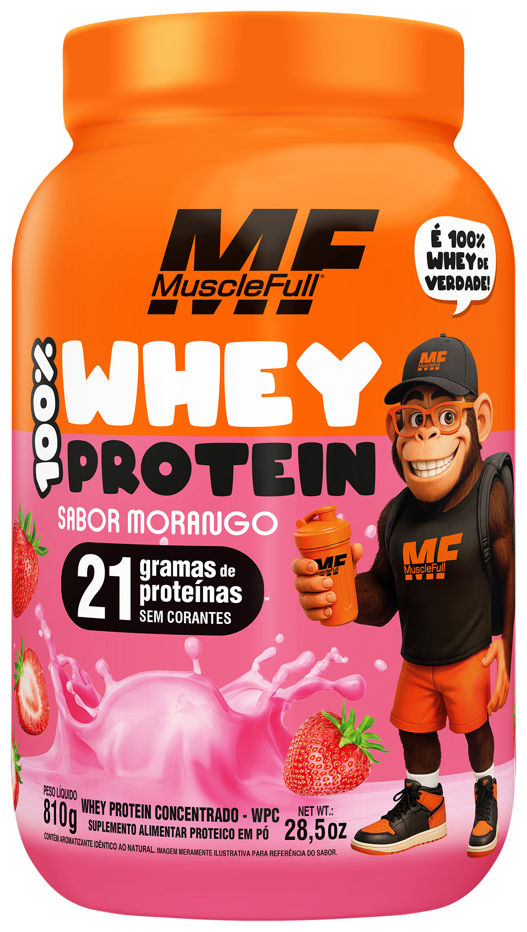 Whey Protein 810g